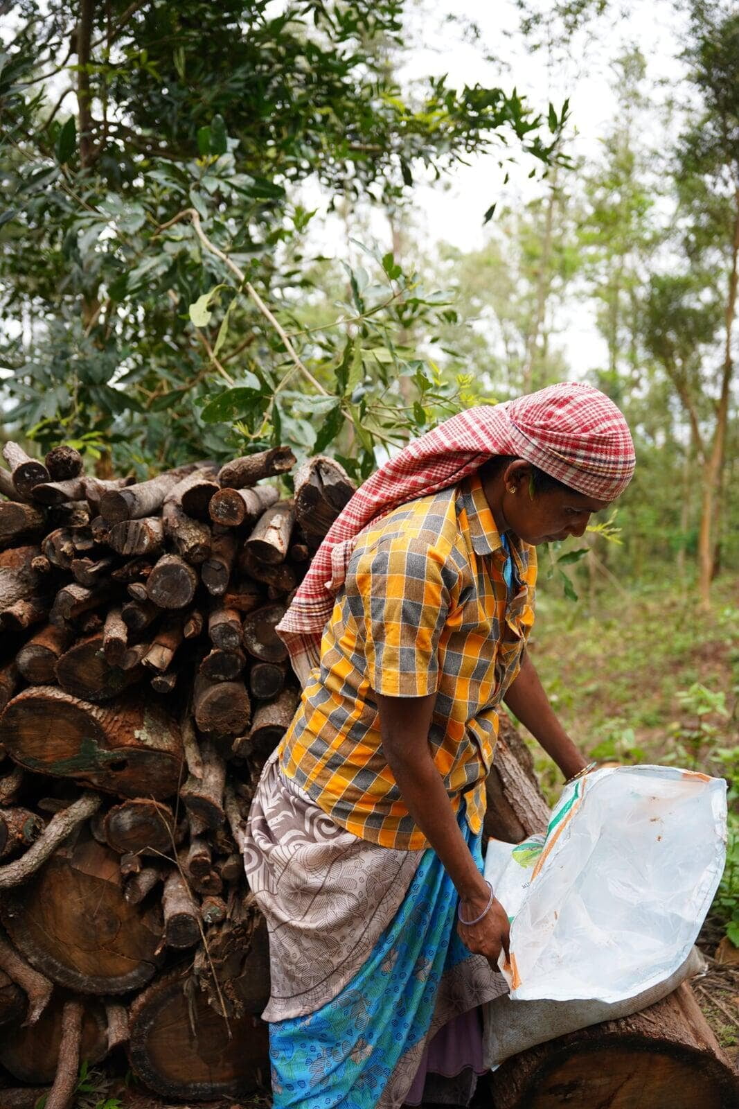 A woman in traditional attire stands by a stack of firewood, holding a bag in a lush, rural setting.